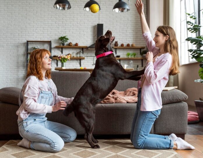 How to Make Your Home Pet-Friendly?