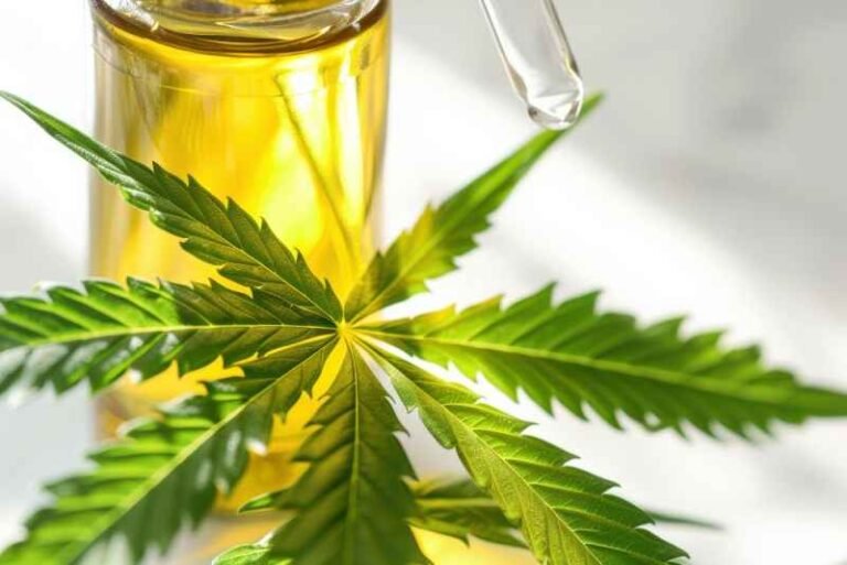 Understanding CBD Hemp Direct A Comprehensive Overview